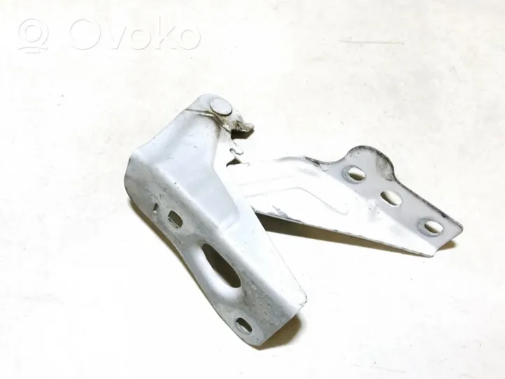 Seat Ibiza IV (6J,6P) Engine bonnet/hood hinges 6j0823301a