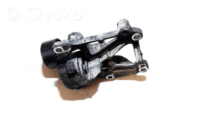 Peugeot 208 Tensor de correa del alternador 9676870780