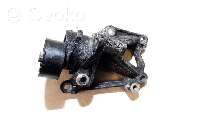 Peugeot 208 Tensor de correa del alternador 9676870780