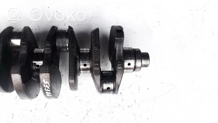 Renault Megane I Crankshaft 