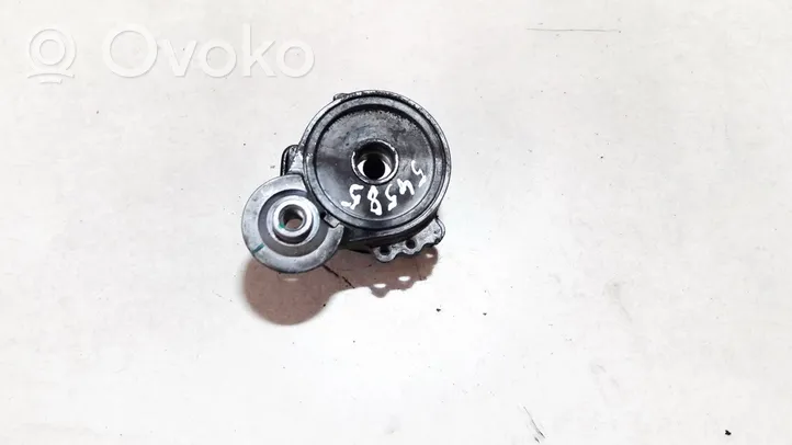 Citroen C5 Napinacz paska alternatora 