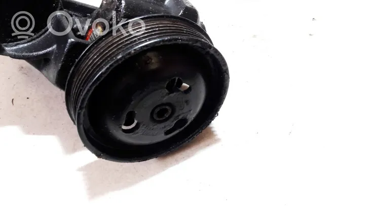 Ford Fiesta Power steering pump 