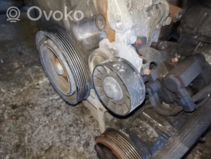 Volvo C30 Tendicinghia generatore/alternatore 