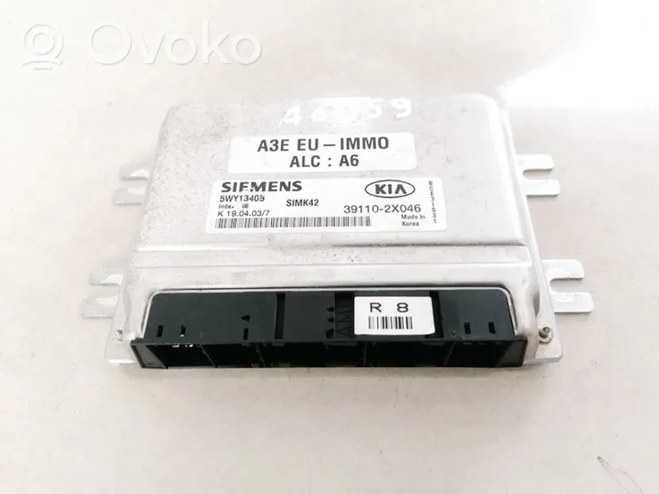 KIA Rio Calculateur moteur ECU 391102X046