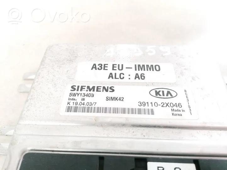 KIA Rio Calculateur moteur ECU 391102X046