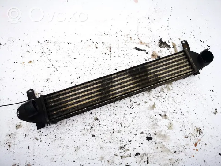 Seat Alhambra (Mk1) Radiatore intercooler 7m3145805