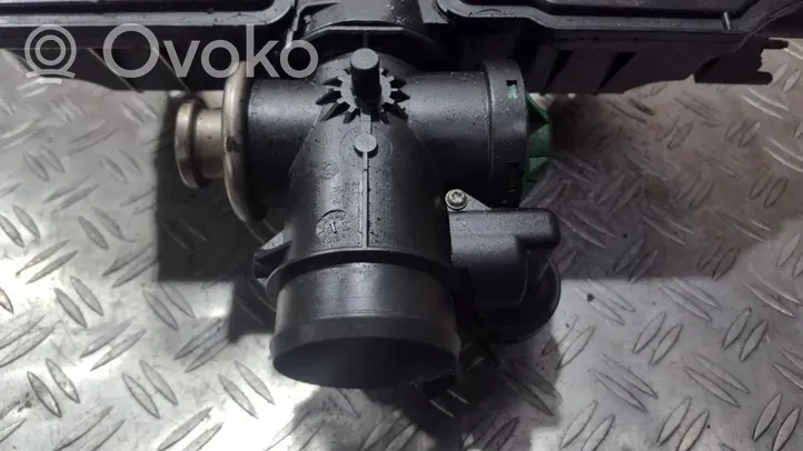 Citroen Berlingo Throttle valve 