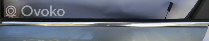 Opel Signum Listwa / Uszczelka szyby drzwi 
