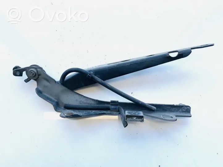 Volvo S60 Cerniere del vano motore/cofano 