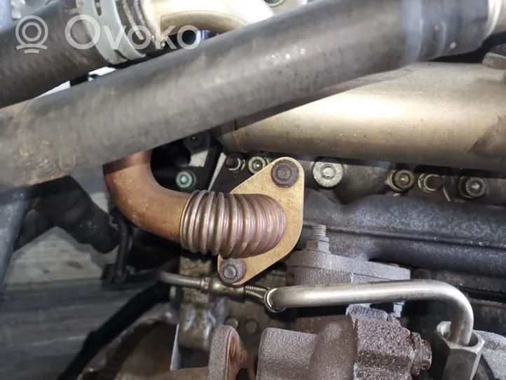 Volkswagen Lupo EGR-venttiili/lauhdutin 