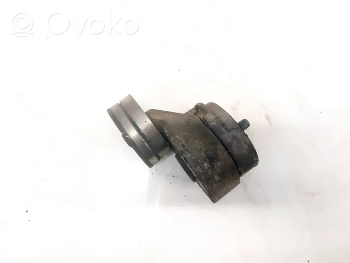 Volvo S60 Tendicinghia generatore/alternatore pqg100230