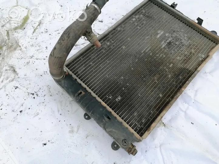 Ford Escort Dzesēšanas šķidruma radiators 