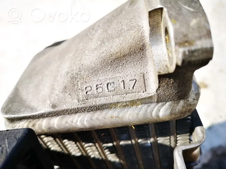 Mazda Xedos 9 Chłodnica powietrza doładowującego / Intercooler 25c17