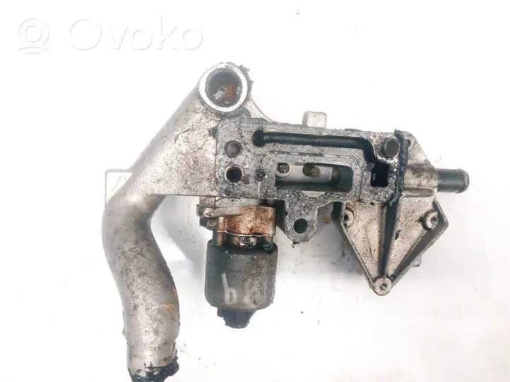 Chevrolet Captiva Zawór EGR 92067570