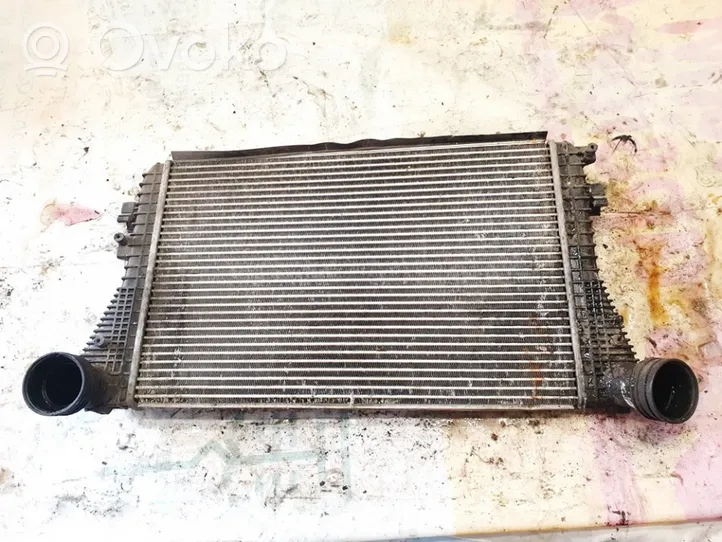 Volkswagen Touran I Chłodnica powietrza doładowującego / Intercooler 1k0145803