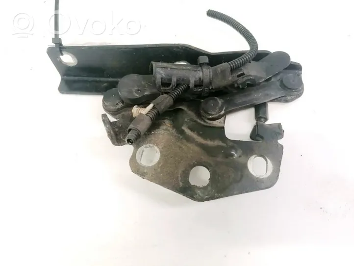 Volkswagen PASSAT B6 Engine bonnet/hood hinges 3C0823302D