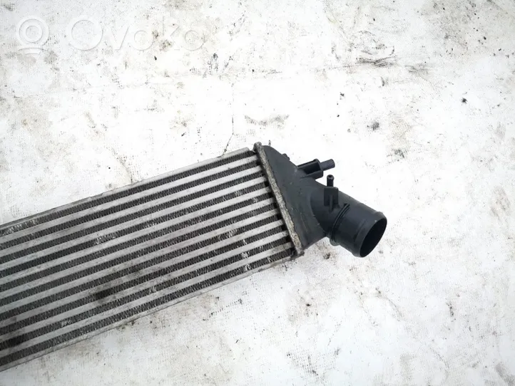 Lancia Phedra Radiatore intercooler 