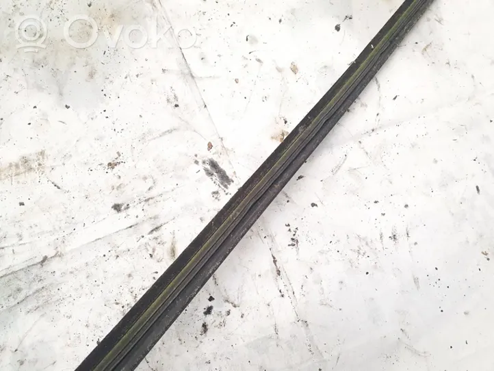 Volkswagen PASSAT B5 Front door glass trim molding 