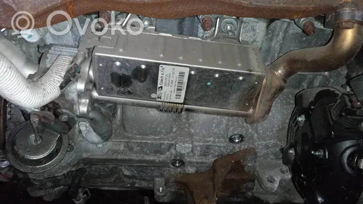 Toyota Verso Chłodnica spalin EGR 256010R020