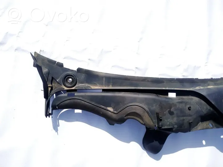 Mercedes-Benz CLS C219 Wiper trim A2198300813