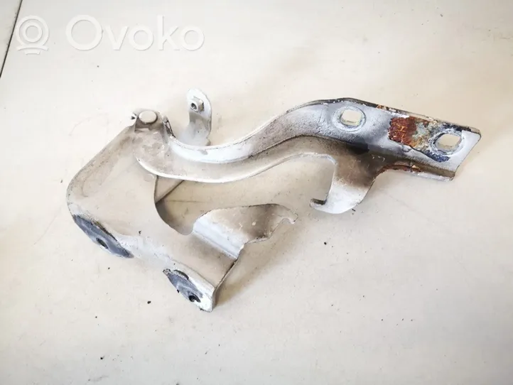 Opel Antara Engine bonnet/hood hinges 