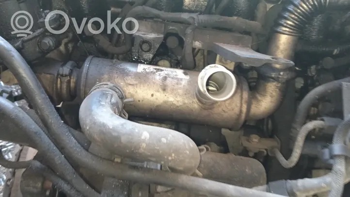 Citroen C5 Valvola di raffreddamento EGR 9646782280