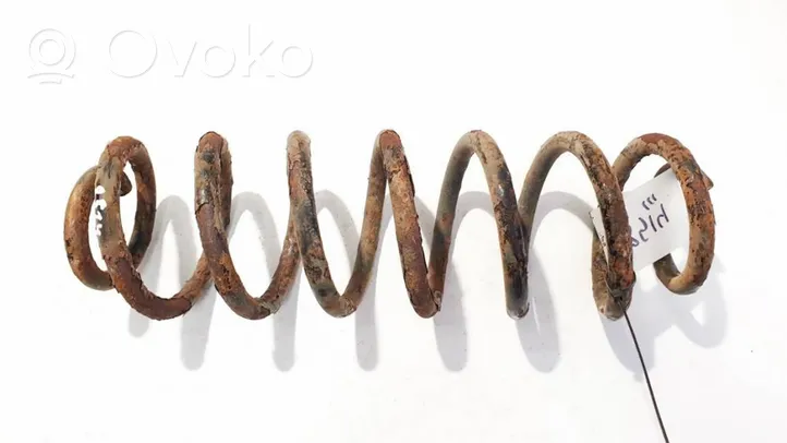 Volkswagen Jetta V Rear coil spring 