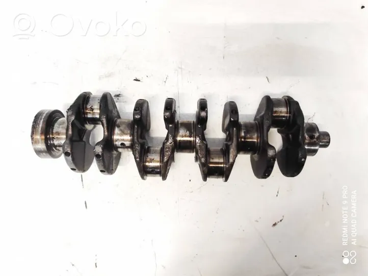 Ford Focus Crankshaft 