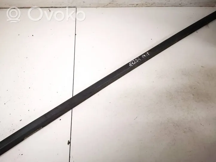 Nissan X-Trail T30 Rear door glass trim molding 