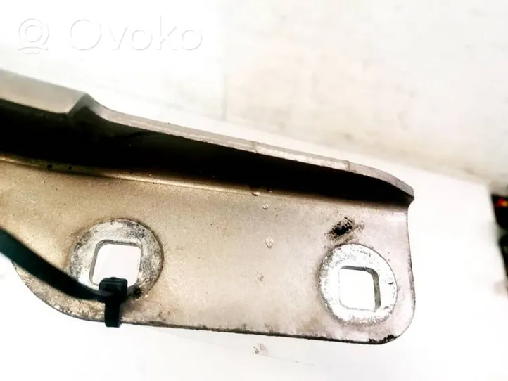 Fiat Croma Engine bonnet/hood hinges 