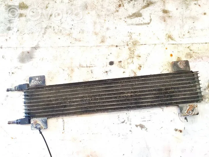 Chrysler Pacifica Fuel cooler (radiator) 