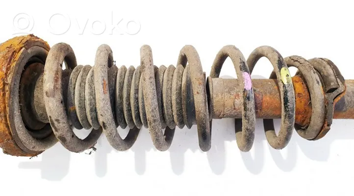 Chevrolet Epica Rear coil spring 