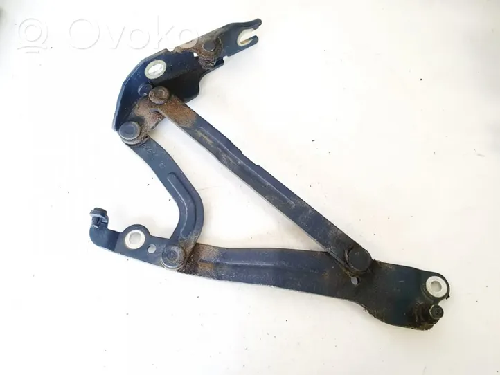 Chevrolet Epica Engine bonnet/hood hinges 