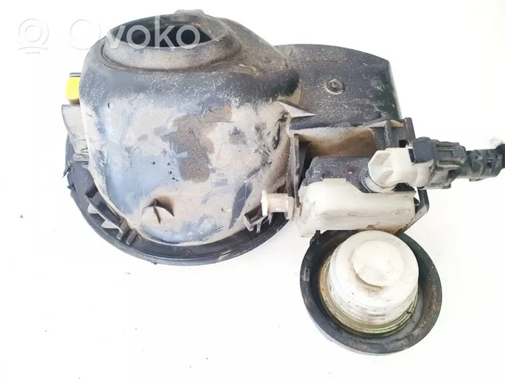 Opel Insignia A Sportello del serbatoio del carburante 13354563