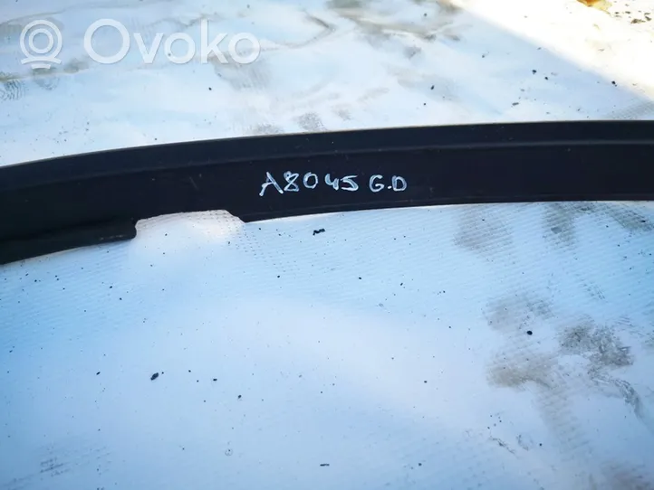 BMW 5 E39 Rear door glass trim molding 8159876