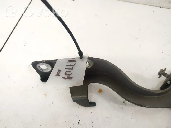 Opel Antara Engine bonnet/hood hinges 