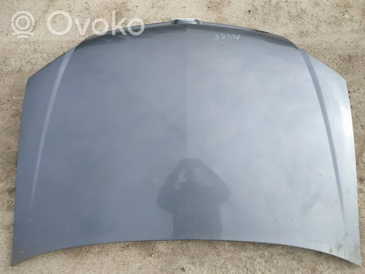 Opel Signum Engine bonnet/hood pilkas