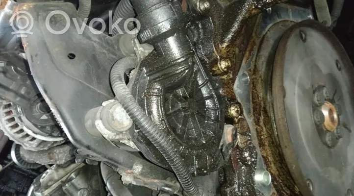 Volkswagen Jetta V Toissijainen ilmapumppu 07K959253A