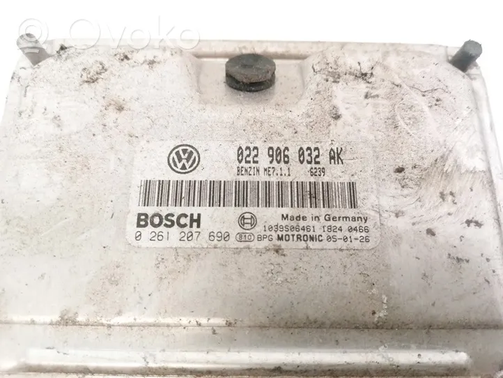 Volkswagen Phaeton Engine control unit/module 022906032AK