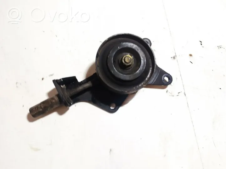 Nissan Pathfinder R51 Tendicinghia generatore/alternatore 