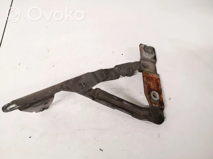 Seat Altea Cerniere del vano motore/cofano 5p0823301b