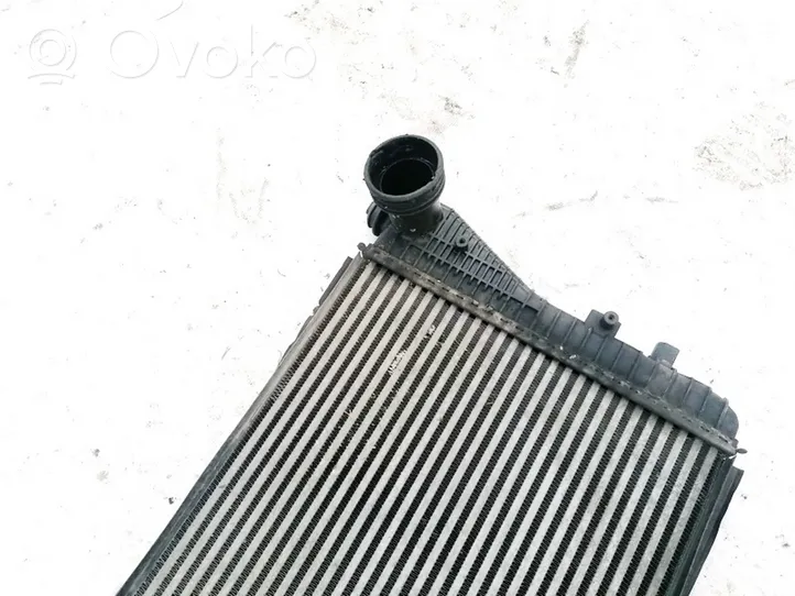 Seat Altea Radiatore intercooler 1K0145803