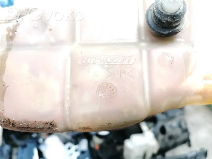 Renault Espace III Coolant expansion tank/reservoir 6025408077