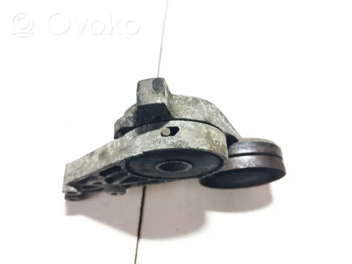 Volkswagen PASSAT B5.5 Napinacz paska alternatora 058903133