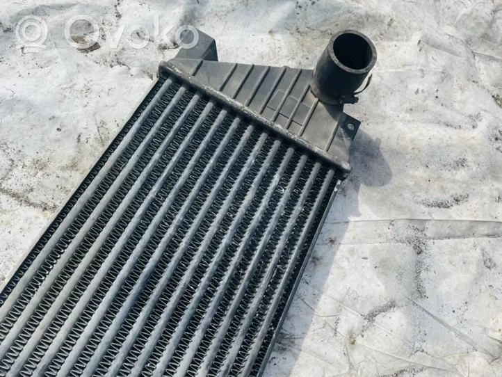 Mercedes-Benz ML W163 Radiatore intercooler 1035042