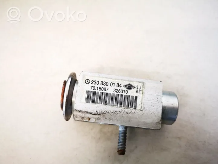 Mercedes-Benz CLC CL203 Air conditioning (A/C) expansion valve 2308300184