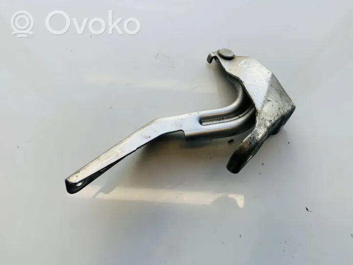 Honda Accord Engine bonnet/hood hinges 