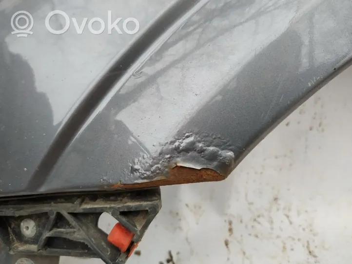 Opel Vectra C Fender pilkas