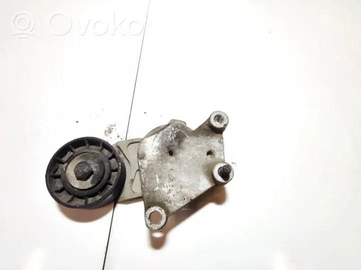 Citroen Berlingo Napinacz paska alternatora tf049f