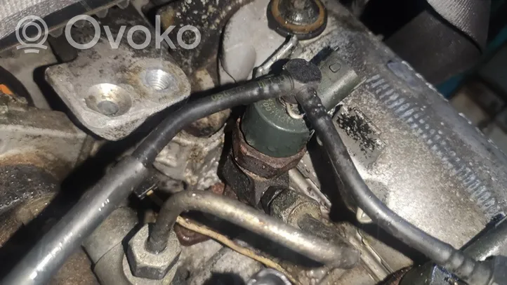 Renault Scenic I Injecteur de carburant 0445110021